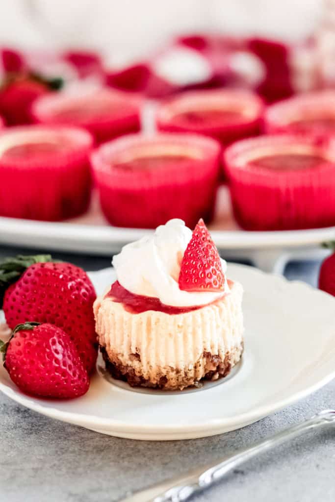 a Skinny Mini Strawberry Cheesecakes on a plate with cool whip on top and strawberries around