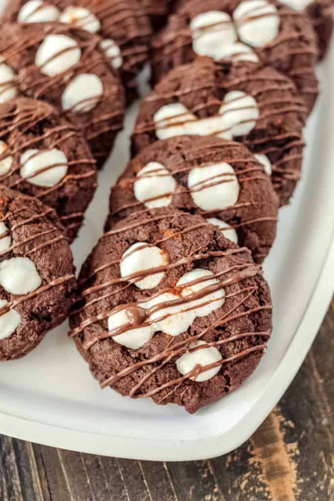 Chocolate cookies on a tray