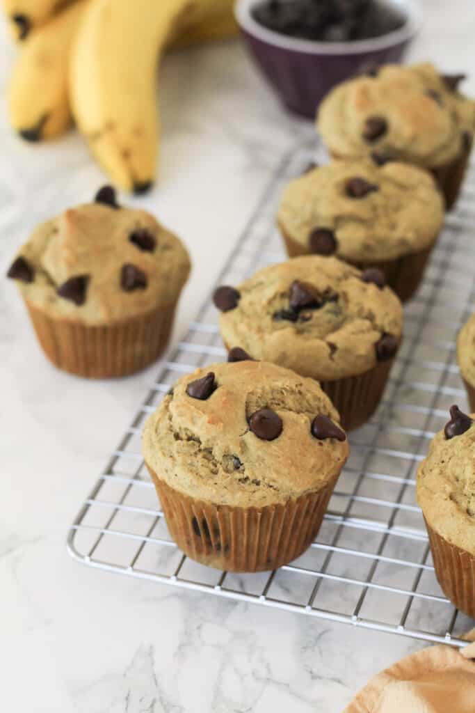 Muffins with chocolate chips on a cooling rack.